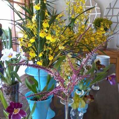 Glace Flores & Cozinha