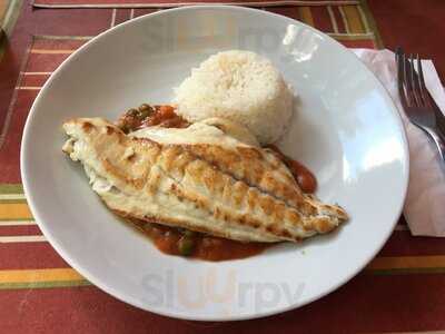 Glace Flores & Cozinha