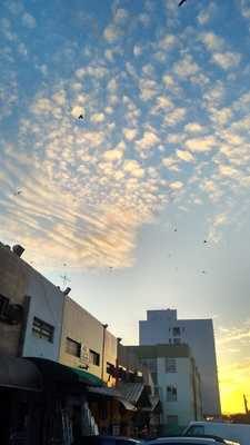 Panificadora Ki Delicia