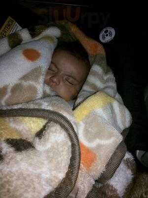 Sopa De Cebola Do Ceasa