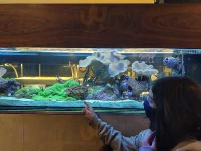 Shake Culinaria Japonesa