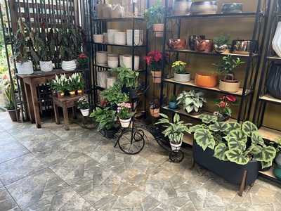 Arboretum - Floricultura Bar