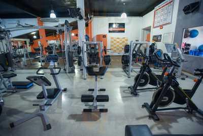 Scultura Nutricao Esportiva