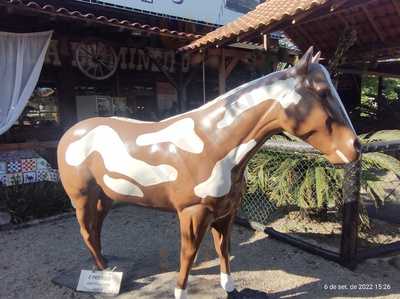 Restaurante Fazenda Do Mineiro