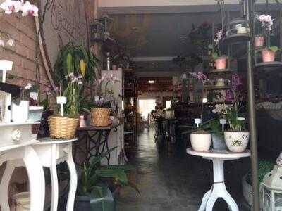 Arte Em Pétalas - Flores E Café