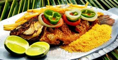 Barraca Vellas Do Futuro