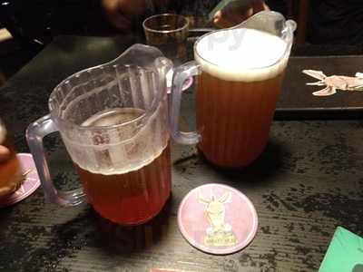 Nutri-entes -cia. Da Vida