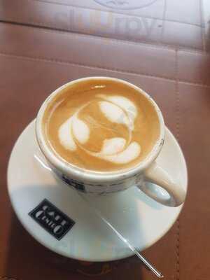 Orquídea Dos Pássaros