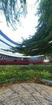 Panificadora Castelo Branco