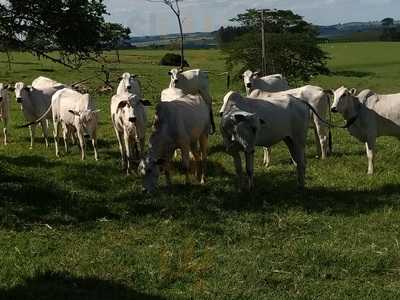 Restaurante Bella Cozinha