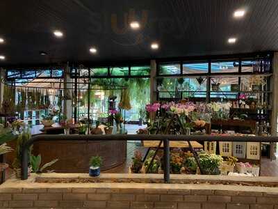 Pedrotti Flores E Café