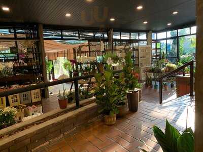 Pedrotti Flores E Café