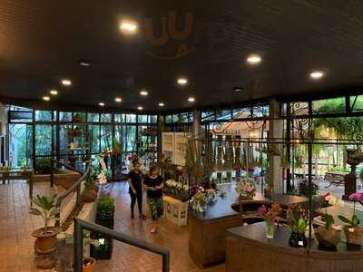 Pedrotti Flores E Café