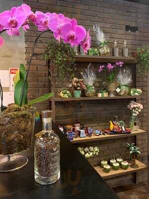 Pedrotti Flores E Café