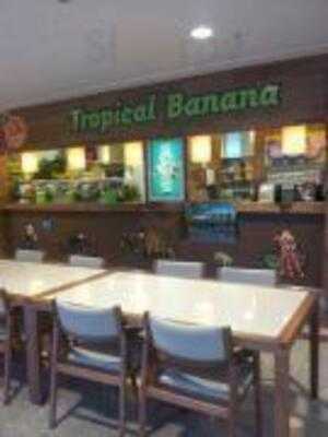 Tropical Banana