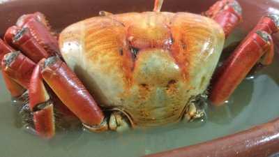 Casa Do Norte Luizão