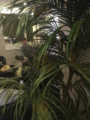 Paulinhos Grill Premier