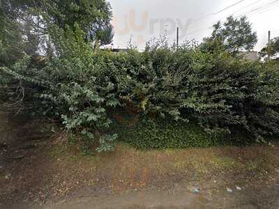 Frango Americano Fast Food