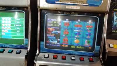 Bar E Lancheria Tropical