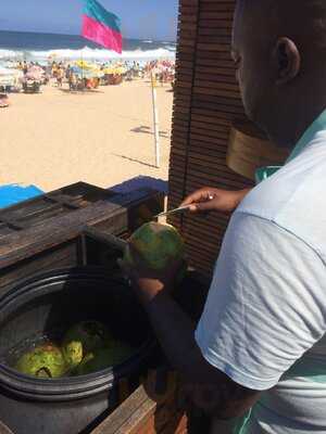 Mae Terra Healthy Gastronomy