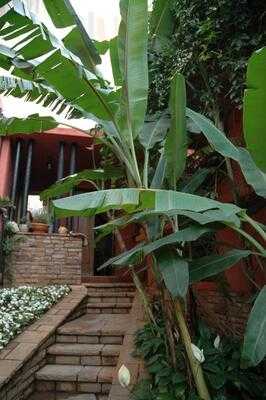 Feijoada Da Bia Braga