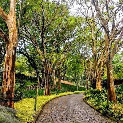 Restaurante 18 Clube Militar