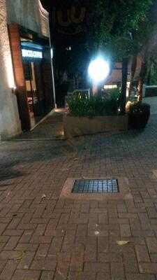 Satarbucks Mackenzie