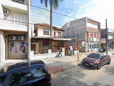 Cachorro Do Coqueiro