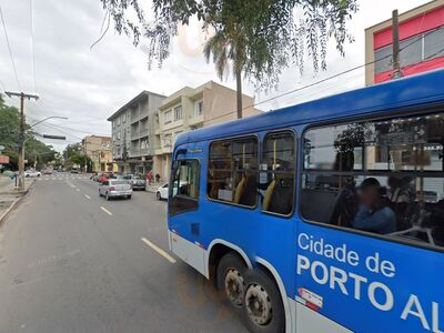 Cachorro Do Coqueiro