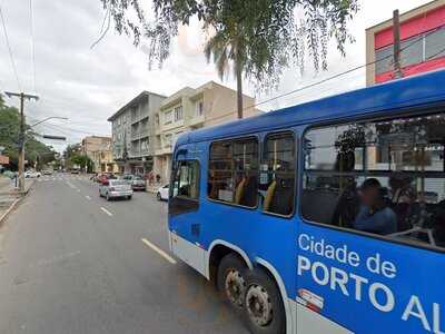 Cachorro Do Coqueiro