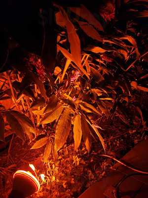 Restaurante Victoria