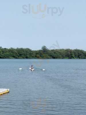 Gastronomia By Marcelo Jacobi