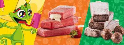 Don Camaleon - Paletas Mexicanas