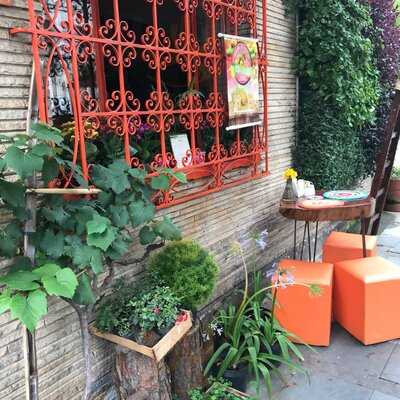 Verdejante Cafe Com Folha