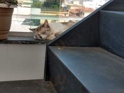 Rest Churrascaria Kilo Quente