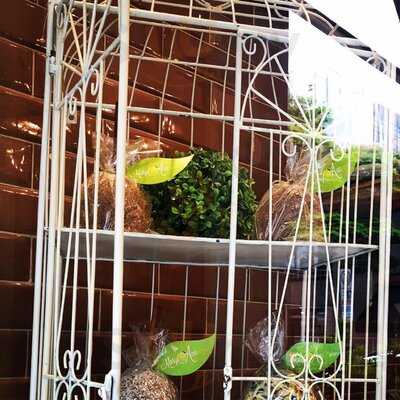 Mary Ann Apple Factory