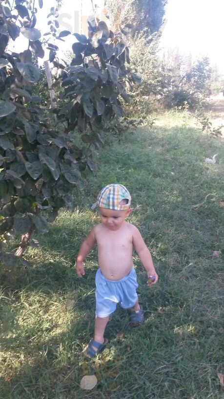 Semkiw Jornais E Revistas