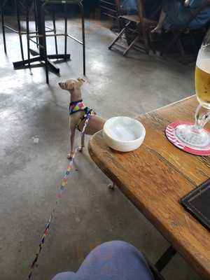 Skapino Espaco Gourmet