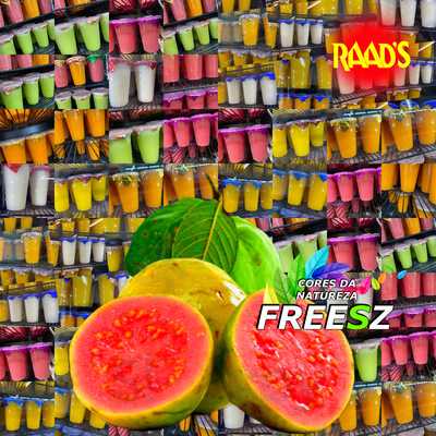 Rochas Lanchonetes E Restaurante