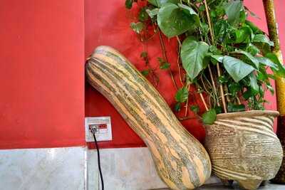 Bar E Lanchonete "oba Oba"