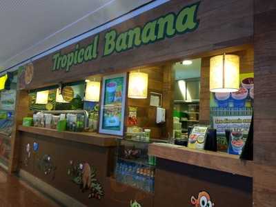 Tropical Banana