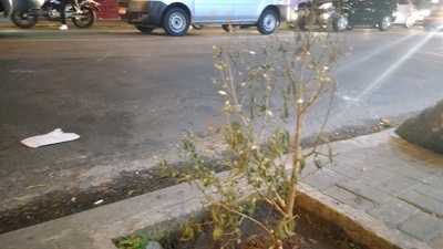 Casa Do Pão De Queijo