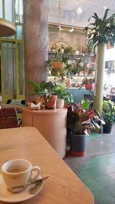 Coffee Stories - Modernista