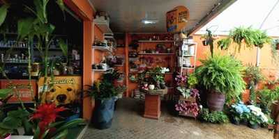 Lanchonete Beija Flor