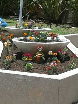 Os Fanaticos Zona Oeste