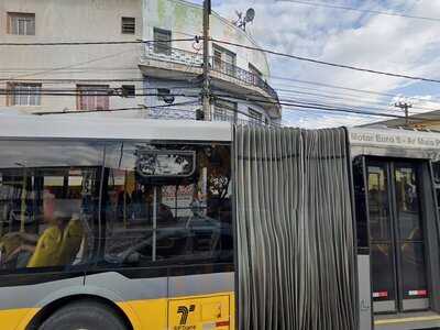 Pizzaria Dom Carlitos