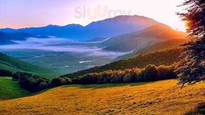 Teriaki Sushi Bar Sabores