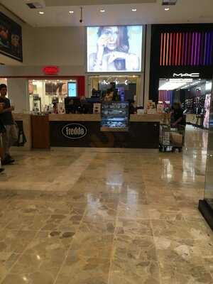 Freddo