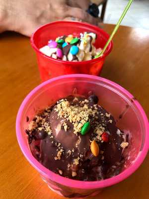 Levessa Sorveteria Artesanal