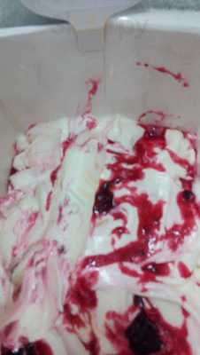 Levessa Sorveteria Artesanal